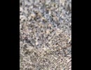 75299338626__7D431063-1084-4425-AA98-EF9D0DE268D2