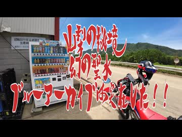 陰キャリターンライダー備忘録【林道横尾山線・松平線part1】