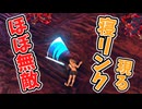 ほぼ無敵！？物理攻撃無効のリンクさん爆誕(ver1.0.0)【ティアキン TotK】裏技 バグ 検証 ゆっくり実況 glitch