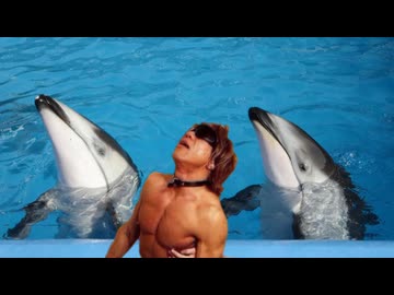 【再】AIに拓也さんの所有するイルカを紹介してもらう