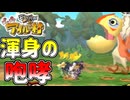 大型モンスターが強すぎる　「ぽかぽかアイルー村」　6日目
