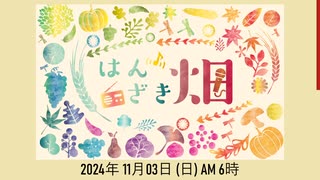 2024年 11月上　はんざき畑