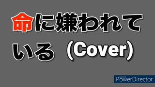 命に嫌われている 歌ってみた