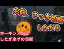dbd お前、さっき切断したよな？