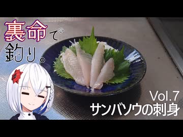裏命で釣り。Vol.7「サンバソウの刺身」