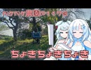 2024年11月11日　農作業日誌P1176　雨が降った後なので畑には入らずにに庭木管理