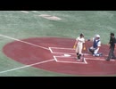 【高校野球女子選抜】山下来々杏さん（履正社）イチローからタイムリーヒット時のバッティングフォームとスイング＜ イチローKOBE CHIBEN  女子高校野球選抜 2024年9月23日＞