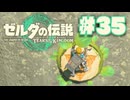 【ぽつぽつ実況 #35】剛勇【ティアーズオブザキングダム】