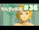 【ぽつぽつ実況 #36】瘴気【ティアーズオブザキングダム】