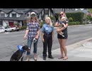 犬（ペット）とその飼い主による社会活動（アメリカ：防犯）