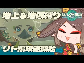 【ゼルダの伝説TotK_地上＆地底縛り】地面に足をつけずにリト編攻略開始#22