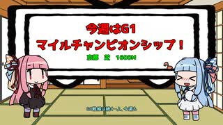 2024マイルチャンピオンシップについて