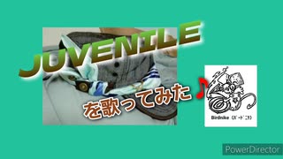 ▲JUVENILE▼歌ってみた♪︎