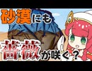 メスガキ先生とヤンデレちゃん横長版９６「砂漠のバラ」