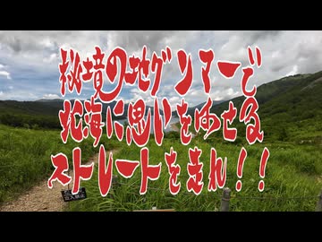 陰キャリターンライダー備忘録【秋鹿大影林道・万沢林道part2】