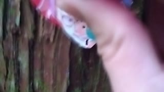 強盗王モンキーⅮルフィが銃殺刑にされて、射殺されて、地獄に落ちる動画、キレがある、力が抜ける程、素敵だ