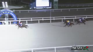 第12回ブロッサムカップ（ニューイヤーズデイ賞） ゼロアワー