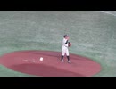 【高校野球女子選抜】坂井歩夢さん（神戸弘陵）ピッチングフォーム＜ イチローKOBE CHIBEN  女子高校野球選抜 2024年9月23日＞