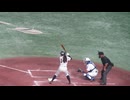 【高校野球女子選抜】坂井歩夢さん（神戸弘陵）バッティングフォーム＜ イチローKOBE CHIBEN  女子高校野球選抜 2024年9月23日＞