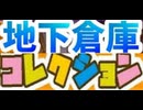 [実況]  自宅のコレクション部屋・地下倉庫紹介！（スマホ撮影）