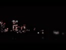 昨日の猛禽（10月）