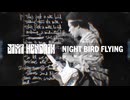 Jimi Hendrix - Night Bird Flying