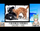 【動画News】犬猫系雑誌の部数動向(2024年7～9月)(2024/11/19)
