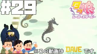 【DAVE THE DIVER】ウミガメと大逃げと結婚式【ゆっくり実況】29貫目