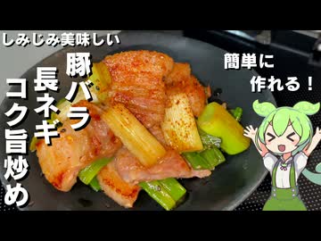 【素材の美味しさ】豚バラと長ネギのコク旨炒め作ってみた【今日のおつまみ】