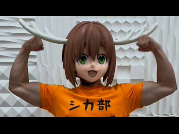 のこたん ～ポージング～