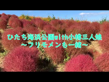 ひたち海浜公園with小樽三人娘～フリモメンも一緒～