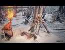 【エルデンリング】傭兵稼業【監視者たちの砦】