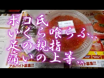 食べれるだけでありがたい！ハラを満たせばそれでヨシ！