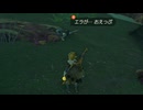 ゼルダの伝説　ティアーズ オブ ザ キングダム　実況プレイPart191