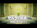 【ゼルダの伝説 知恵のかりもの】ニセモノには気づけない、勇者にも気づかない。どいつもこいつも本当に愚かで無様だわ…私がこの世の全てを、無に帰しましょう #18