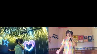 冬が来る前に／紙ふうせん