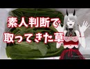 どれのせいで腹を壊すか分からないお土産ポトフ