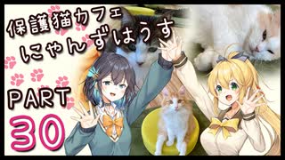【弦巻マキ&宮舞モカ】保護猫カフェに遊びに行くよ 【Part 30】