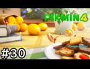はこんで、あつめて、たたかって【ピクミン4】実況プレイpart30
