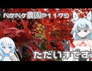 2024年11月14日　農作業日誌P1179　日光東照宮へ行って帰ってきたけど・・・本編は明日頑張ります