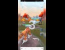 #ポケモンgo #gbl 相手を弄びます トゲキッス イベルタル カイリュー たそがれのたてがみ ランドロス ゼルネアス オリジンディアルガ #shorts #マスターリーグ #pokemon