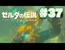 【ぽつぽつ実況 #37】デクの樹【ティアーズオブザキングダム】