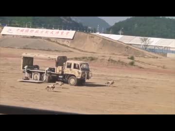 ホモと見る中国軍のドローン犬部隊