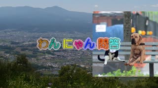 さいとう県知事クーデター、証拠の音声データ