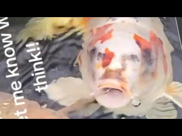 35ホモと見るイギリスで見つかった謎の人面魚