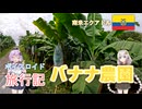 【ボイロ実況】ボイスロイド旅行記Vol.34 バナナ農園見学編