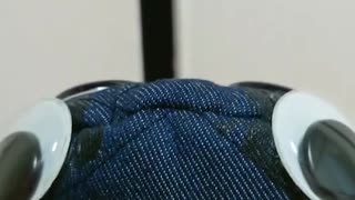 本当は