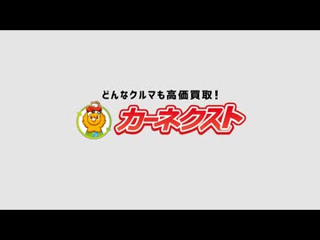 ありそう