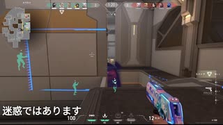 日本生まれ温室育ちのソーヴァ