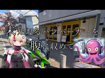 未知なるハンバーガーを腹に納めて【part４】